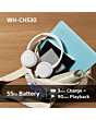 Sony WHCH530G.CE7 Wireless Over-Ear Headphones Mint Green